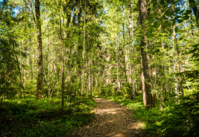Increase biodiversity at Areim’s properties