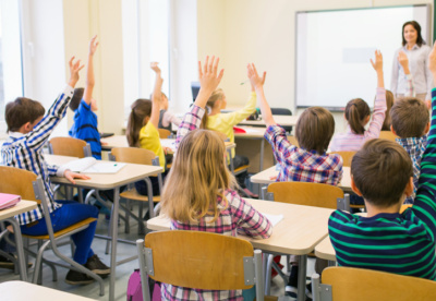 Areim supports Friends’ call for a national anti-bullying plan