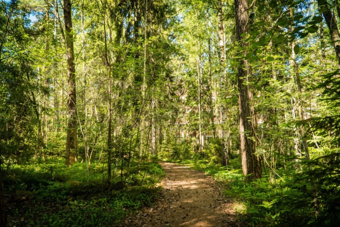 Increase biodiversity at Areim’s properties